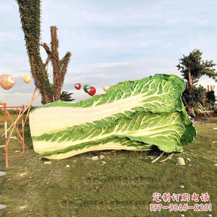 福州新鲜白菜“精致生活”系列