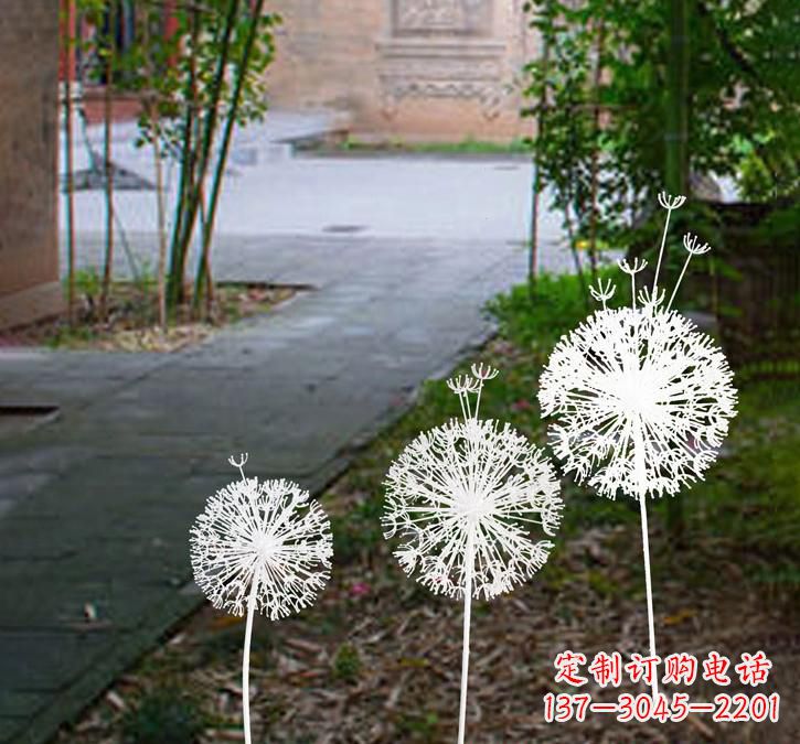 福州不锈钢蒲公英点亮城市之美