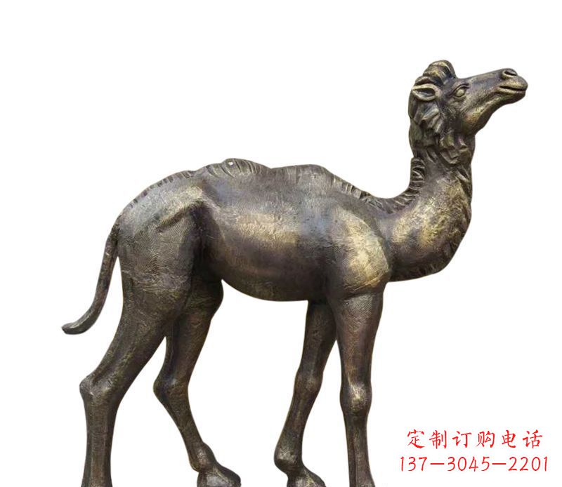 福州奇美洁净的骆驼铜雕