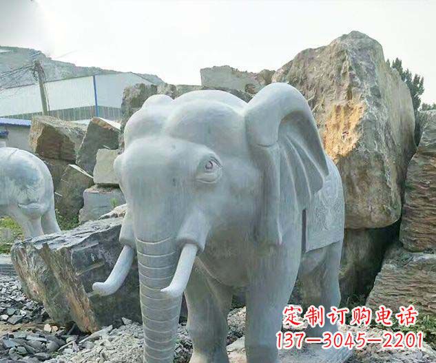 福州广场景观大理石大象石雕 (2)